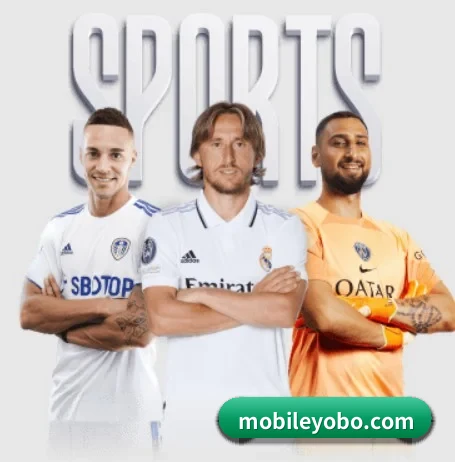 yobo体育官网 APP 界面