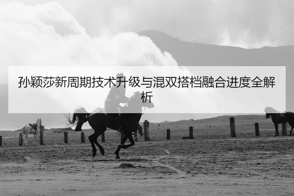 sun-ying-sha-xin-zhou-qi-ji-shu-sheng-ji-yu-hun-shuang-da-dang-rong-he-jin-du-quan-jie-xi-2-689.jpg